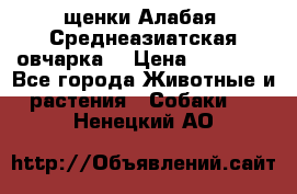 щенки Алабая (Среднеазиатская овчарка) › Цена ­ 15 000 - Все города Животные и растения » Собаки   . Ненецкий АО